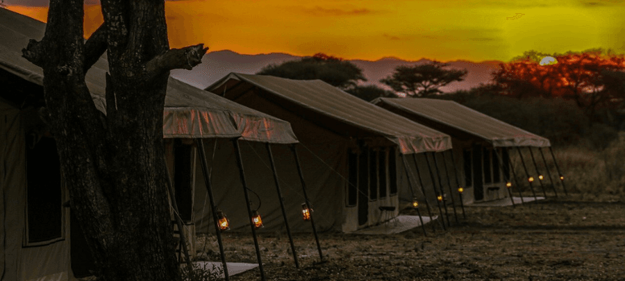 A row of luxury safari tents glowing softly with lantern light at sunset, set against a dramatic orange sky and distant mountain silhouettes. Surrounded by acacia trees and wilder…