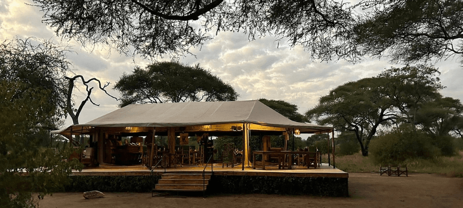 An elegant open-air safari lodge tent illuminated at dusk, surrounded by towering acacia trees and natural bushland. The raised wooden deck features cozy dining and lounge spaces…