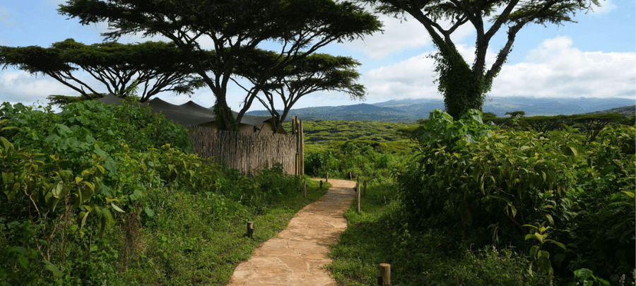 Crater's Edge - View from the camp