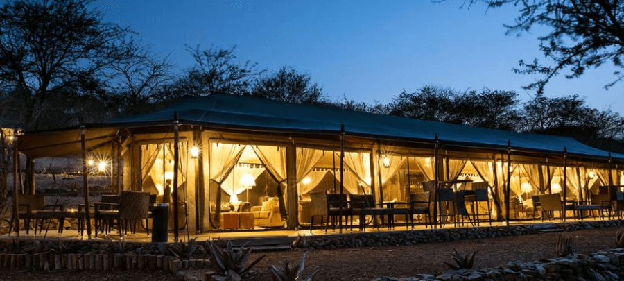 Dining View