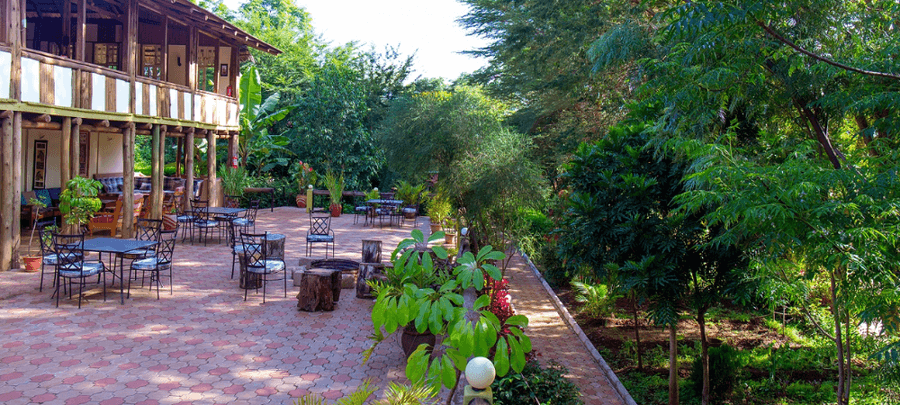 Dinning Area