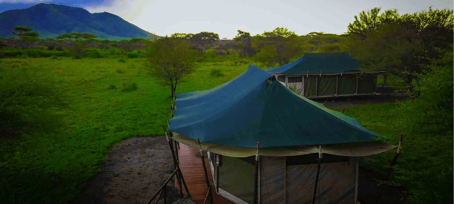 Exterior view of the tents