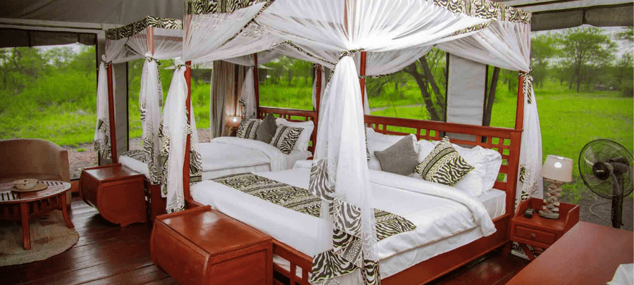 Tent