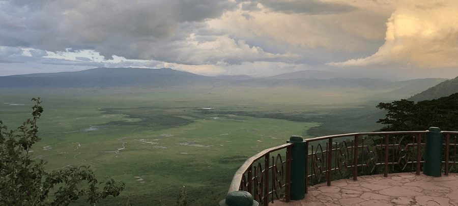 from Serena lodge crater view