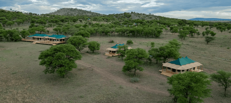 Overview
