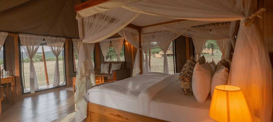 Tent