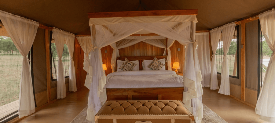Tent