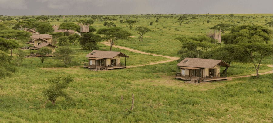 Serengeti Sametu