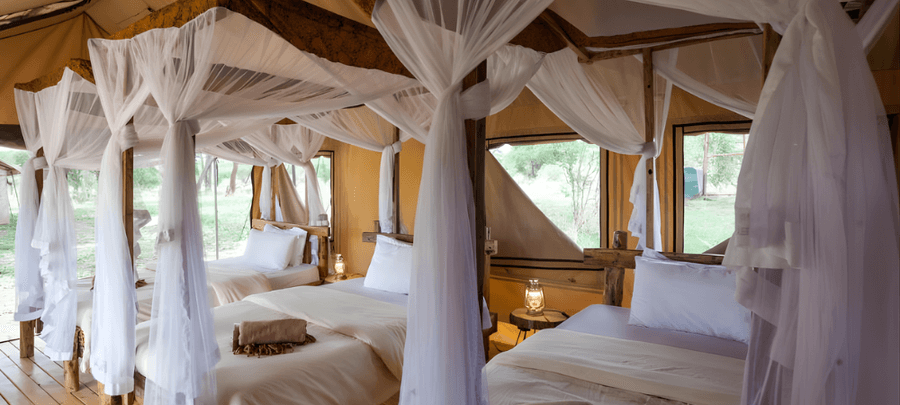 Triple Bed