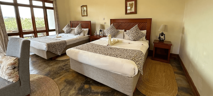 Bright twin bedroom at Marera Valley Lodge with large windows, cozy décor, and neatly arranged beds overlooking lush greenery