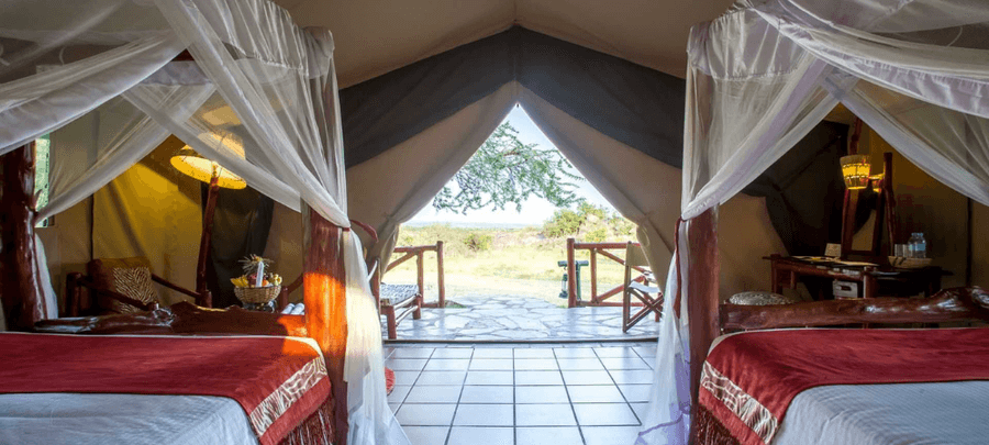 View From Tent