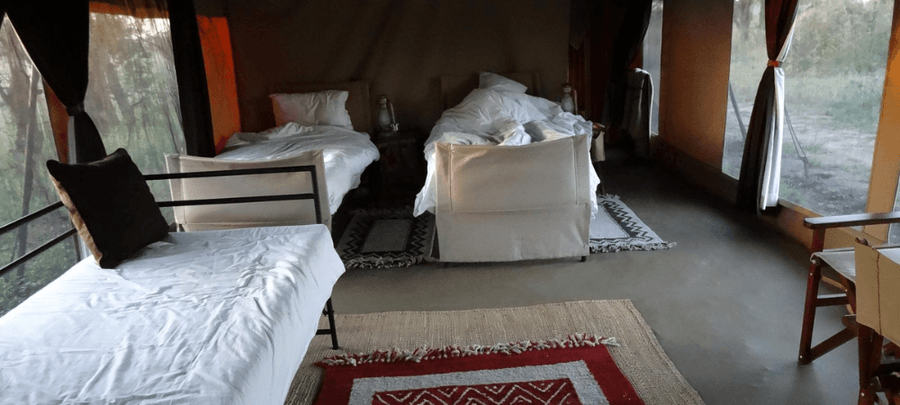 bed view