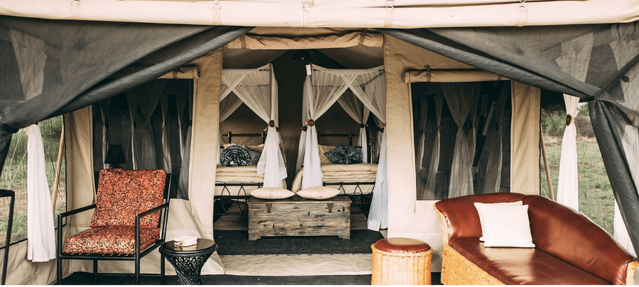 Spacious safari tent interior with cozy seating, twin canopy beds draped in mosquito netting, and rustic décor creating a comfortable wilderness retreat.