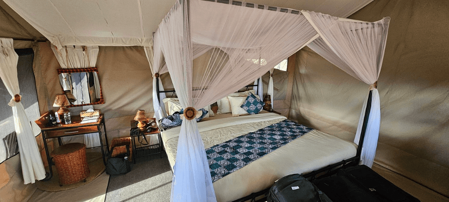 Cozy safari tent interior featuring a canopy bed with flowing mosquito netting, rustic furnishings, and warm natural lighting.