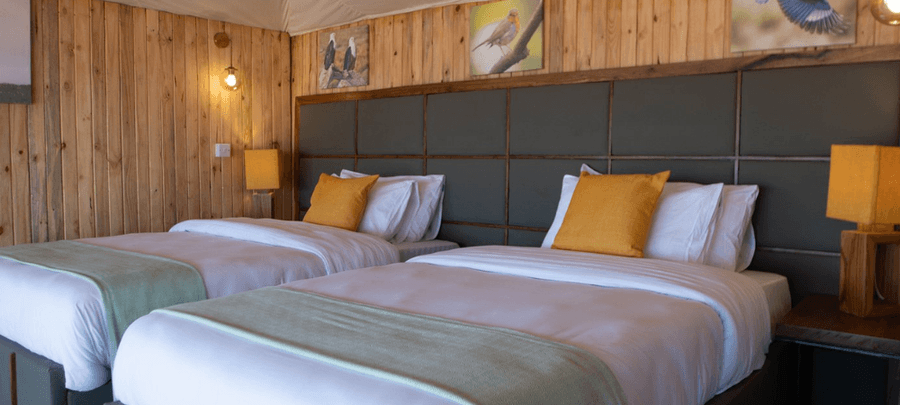 A cozy twin-bedroom interior features two neatly made beds with soft white linens, mustard accent pillows, and matching bedside lamps. Warm wooden wall paneling and bird artwork c…