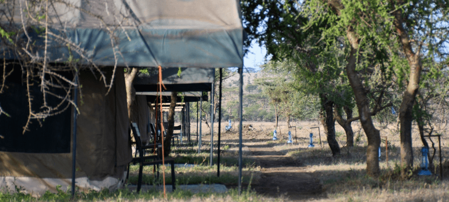 camp area