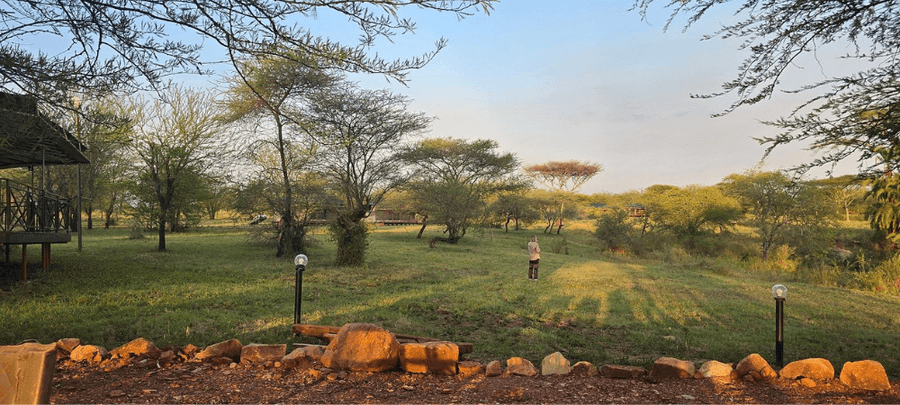 camp view