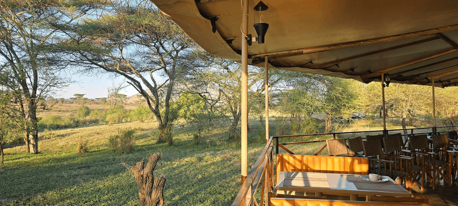 camp view