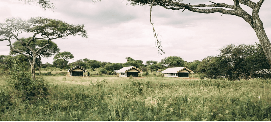 Luxury safari tents are scattered across a lush grassy landscape surrounded by acacia trees, offering a peaceful and secluded wilderness retreat under a cloudy sky.