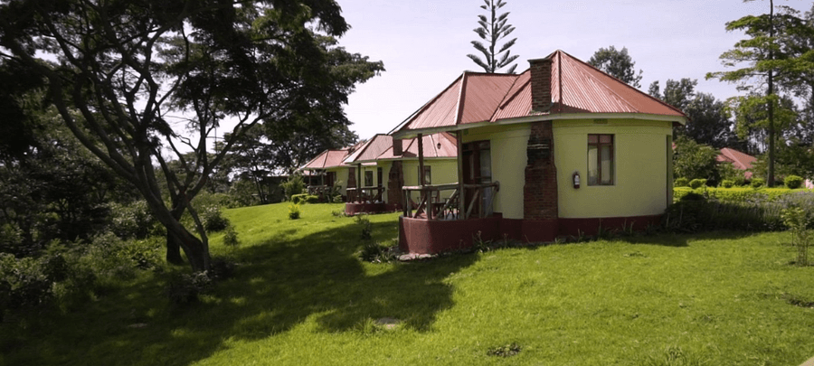 A row of charming countryside cottages with red metal roofs and small porches, surrounded by lush green lawns and tall trees under a bright sunny sky.