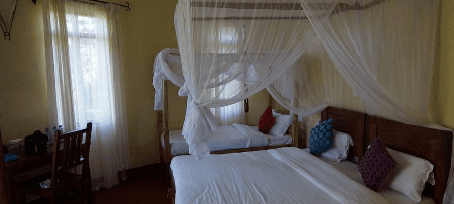 Cozy bedroom with wooden canopy beds draped in white mosquito netting, colorful accent pillows, soft natural light from tall windows, and a small wooden desk and chair.