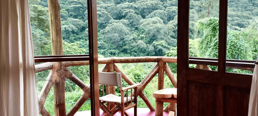Wooden balcony with rustic railings and seating overlooking a lush tropical forest, viewed through open glass doors with soft curtains framing the scene.
