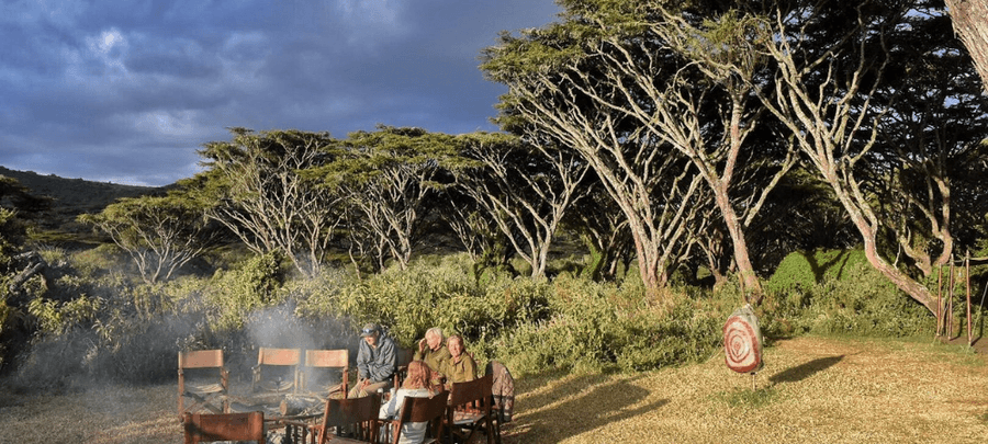 A group of guests gathers around an outdoor campfire surrounded by wooden chairs in a grassy clearing bordered by tall acacia trees. Dramatic dark clouds and warm evening sunlight…
