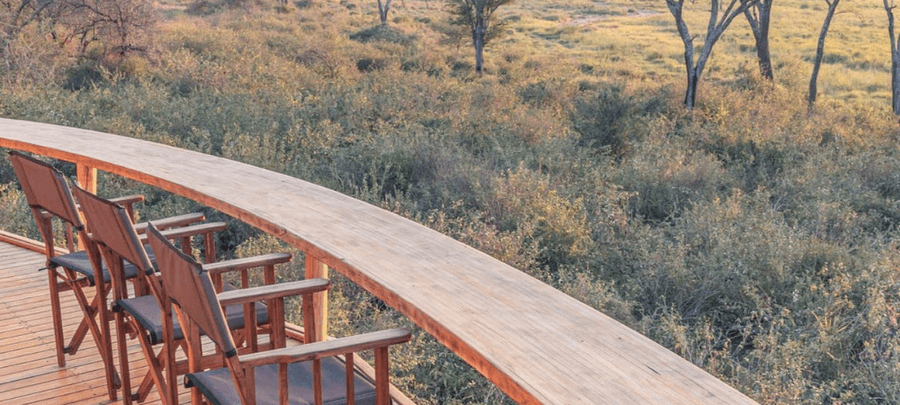 Wooden safari chairs line a curved viewing deck overlooking dense bushland and open grassland in warm afternoon light.