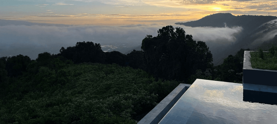 pool view