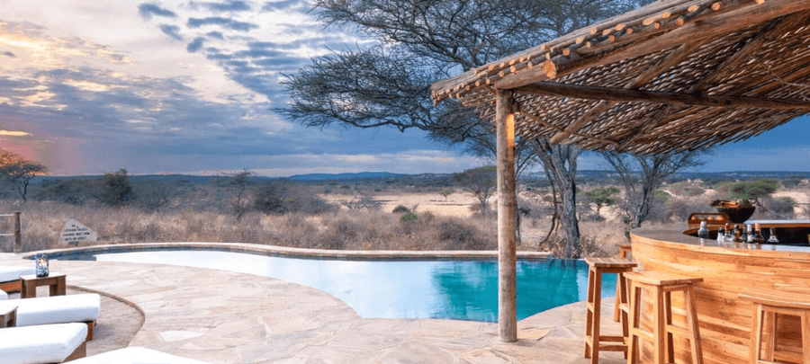 An infinity pool and open-air wooden bar overlook the vast savannah landscape at sunset, surrounded by acacia trees and soft evening light.
