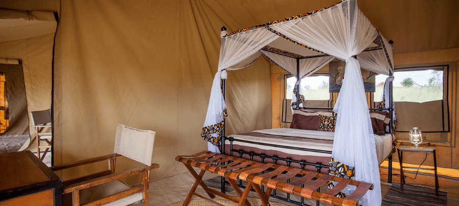 Spacious luxury safari tent at GNU Camp featuring a four-poster bed with mosquito netting, wooden furnishings, and warm natural lighting