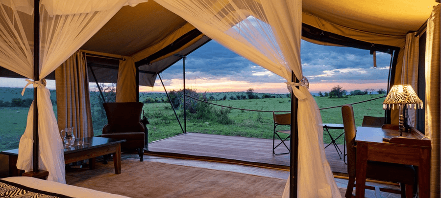 room view
