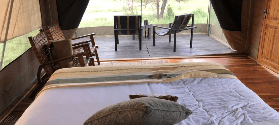room view