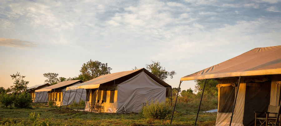 Row of luxury safari tents at Camp glowing in warm sunset light, set among greenery in the Serengeti.