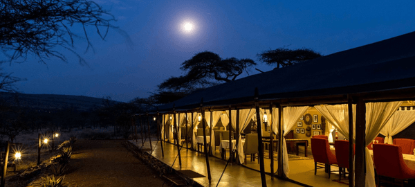 Ole Serai Luxury Camp Moru Kopjes