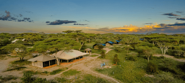 Ang'ata Migration - Ndutu