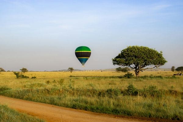 Balloon in air
