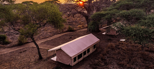 An aerial sunset view of luxury safari tents nestled among acacia trees in the African bush. Winding dirt paths weave through the dry wilderness landscape, while the warm glow of…