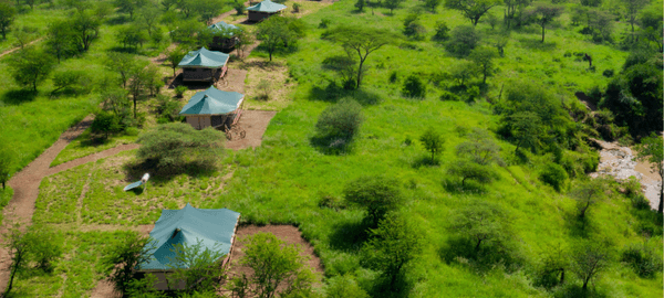 Embalakai Ngorongoro Camp - Hero