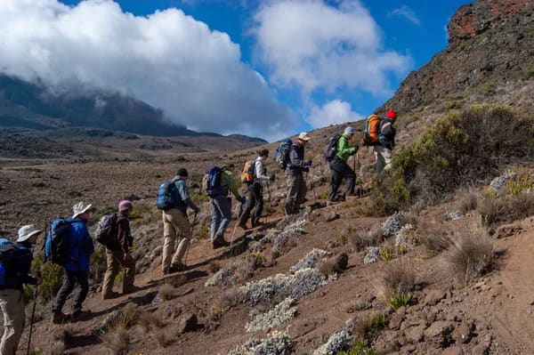 A group of hikers trekking up Kilimanjaro's alpine desert zone, wearing layered hiking gear, sun hats, and carrying trekking poles and large backpacks, with dramatic clouds and th…