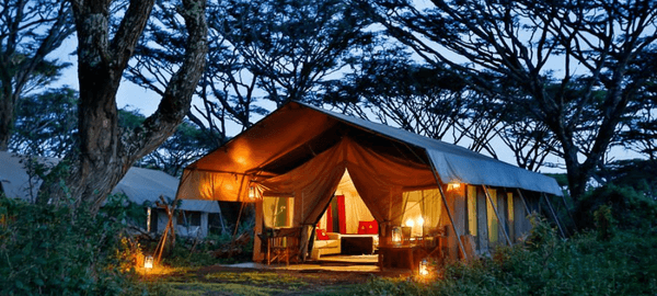 A luxury safari tent glows warmly at dusk beneath a canopy of tall acacia trees. Lanterns illuminate the outdoor area while the open-front tent reveals a cozy interior with soft l…