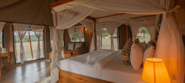 Tent