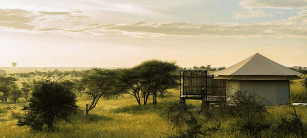 Salinero Serengeti