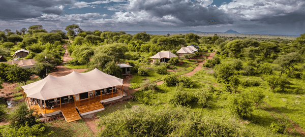 An aerial view showcases a luxury safari camp surrounded by lush green wilderness and winding dirt paths. Spacious canvas tents and lodge structures are spread across the landscap…