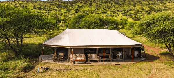 The Camp