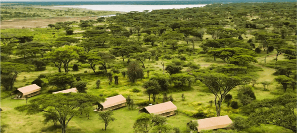 africa safari hero image