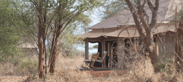 A secluded luxury safari tent is partially hidden among dry grass and slender trees, blending naturally into the surrounding wilderness. Wooden rocking chairs rest on the shaded v…