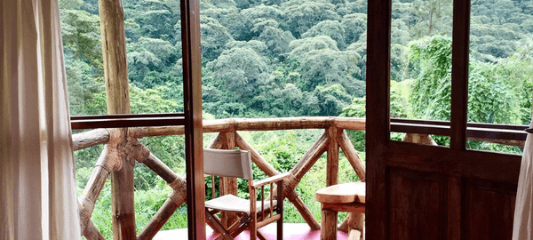 Wooden balcony with rustic railings and seating overlooking a lush tropical forest, viewed through open glass doors with soft curtains framing the scene.