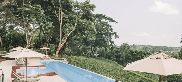 Infinity pool surrounded by lush forest greenery, with sun loungers and large umbrellas overlooking a peaceful scenic landscape.