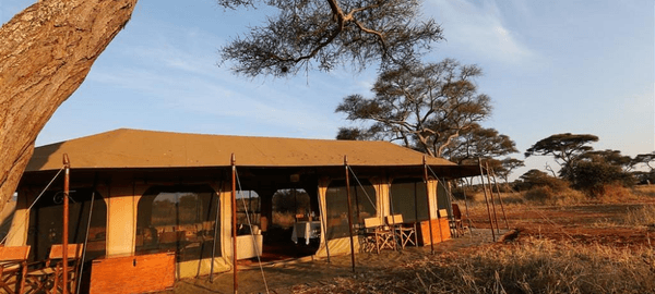lemala ndutu
